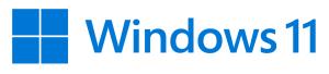 Windows 11 Home 64bit - 1 Lic - Win - English International - USB Stick