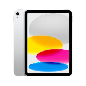 iPad - Wi-Fi - 256GB - Silver